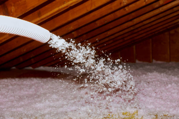 Best Types of Insulation in La Homa, TX