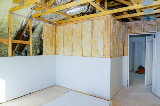 Best Insulation Materials and Products in La Homa, TX