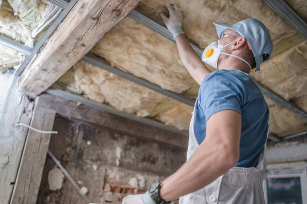 Best Insulation for Specific Applications in La Homa, TX