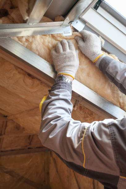 Best Insulation for Specific Applications in La Homa, TX