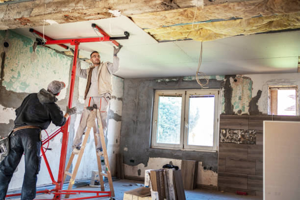 Best Insulation Materials and Products in La Homa, TX