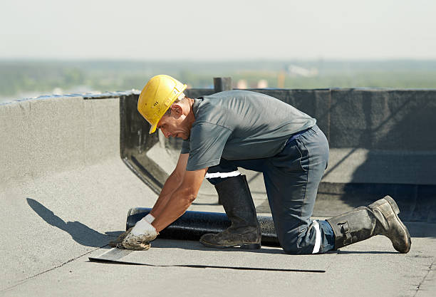 Best Insulation Maintenance and Repair in La Homa, TX
