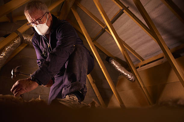 Best Insulation Installation Services in La Homa, TX
